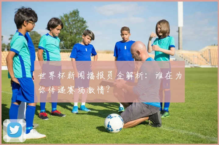 世界杯新闻播报员全解析：谁在为你传递赛场激情？