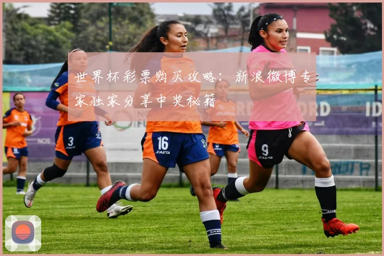 世界杯彩票购买攻略：新浪微博专家独家分享中奖秘籍