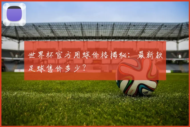 世界杯官方用球价格揭秘：最新款足球售价多少？