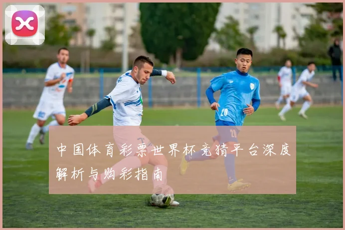 中国体育彩票世界杯竞猜平台深度解析与购彩指南