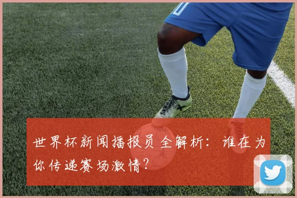 世界杯新闻播报员全解析：谁在为你传递赛场激情？