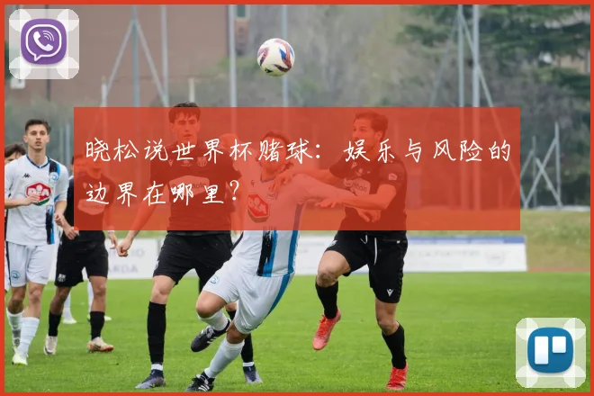 晓松说世界杯赌球：娱乐与风险的边界在哪里？