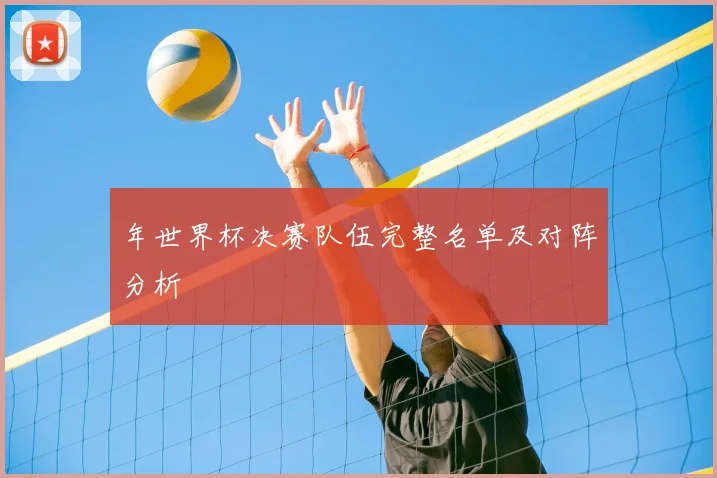 年世界杯决赛队伍完整名单及对阵分析