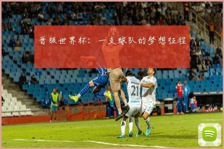 晋级世界杯：一支球队的梦想征程