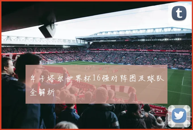 年卡塔尔世界杯16强对阵图及球队全解析