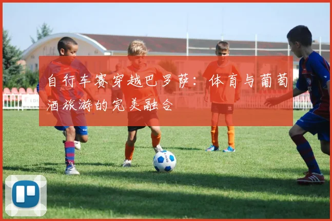 自行车赛穿越巴罗萨：体育与葡萄酒旅游的完美融合