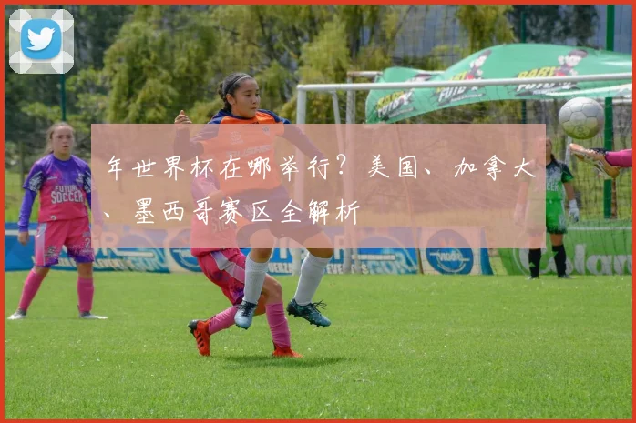 年世界杯在哪举行？美国、加拿大、墨西哥赛区全解析