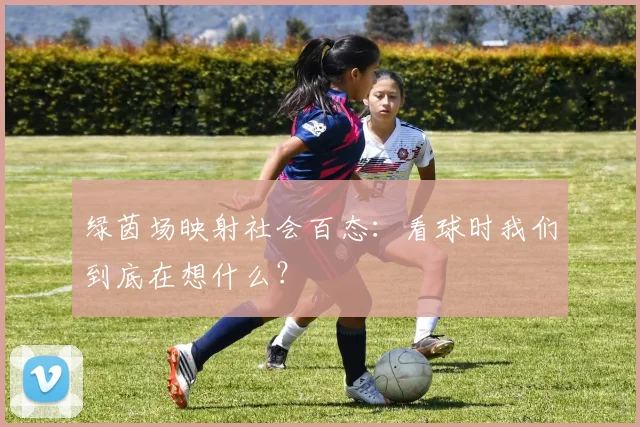 绿茵场映射社会百态：看球时我们到底在想什么？