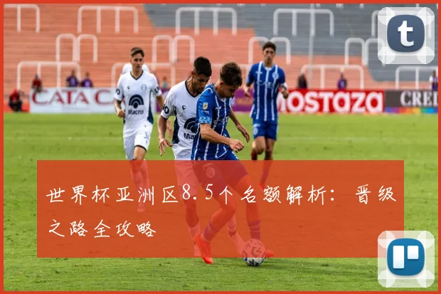 世界杯亚洲区8.5个名额解析：晋级之路全攻略